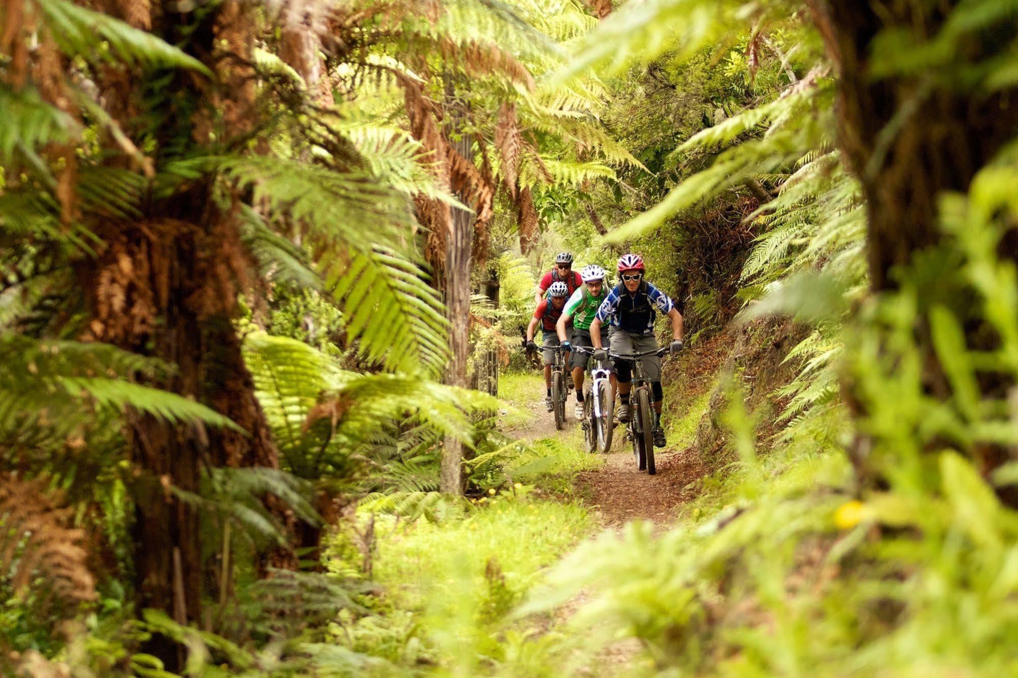 Treetops Lodge & Estate Rotorua Eksteriør bilde